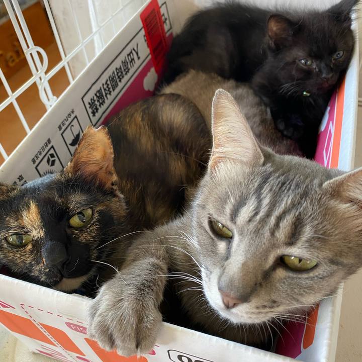 1217f1fb f4d5 4002 99b0 f68a32780a55 1716966481213