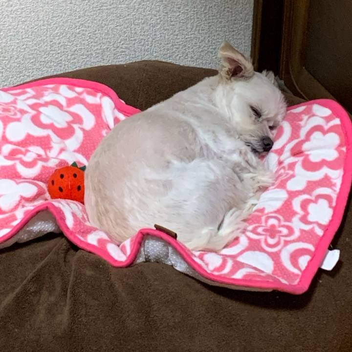 12180a14 9f05 4636 9220 03127cd5c6d4 1573734233126