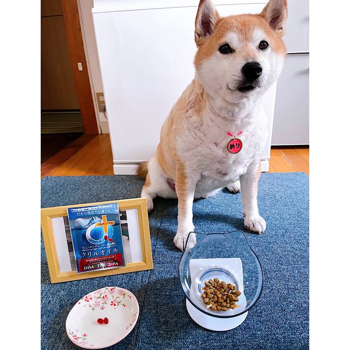 12184f19 2dcc 479d 8d82 f66255474746 1716338535609