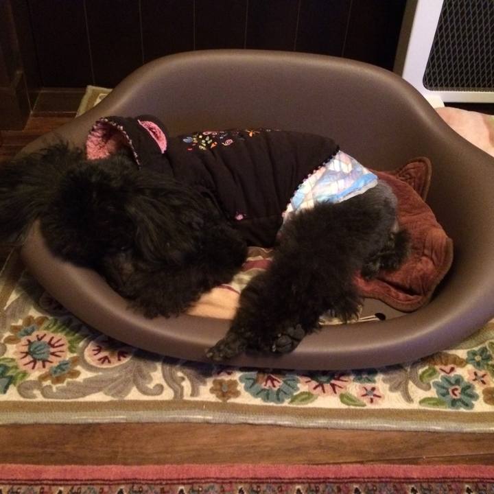 12186b67 8a18 4e9d ac47 1ab26de8f518 1517493088866