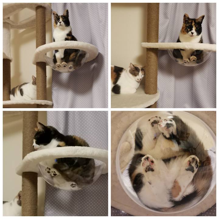 121871e6 4d12 4648 87dd ed0096760864 1638603758078