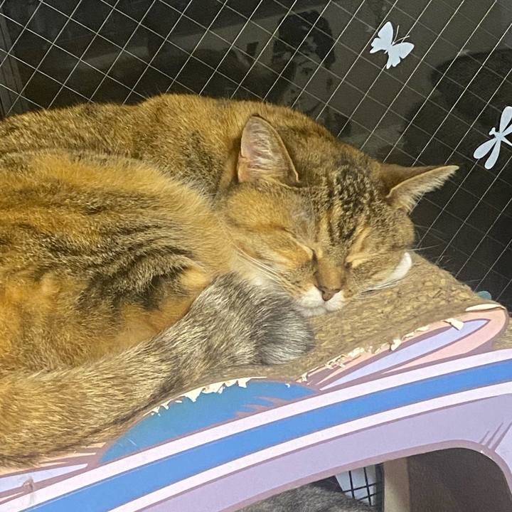 1218a99e 4562 4f64 97fc 50e5add6abf7 1654018006293