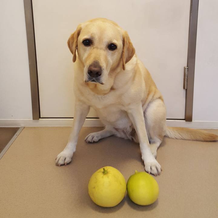 1218aeb3 1325 48f4 b73f fb61ec372c40 1572867187250