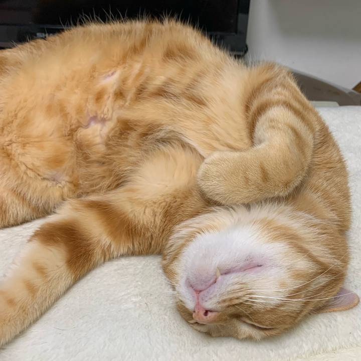 1218bbad 6e5d 4461 98ed 49c7235af266 1619042369707