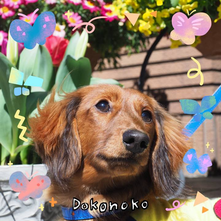 1218e745 faea 4ef7 9542 1a91c77160aa 1711505981886