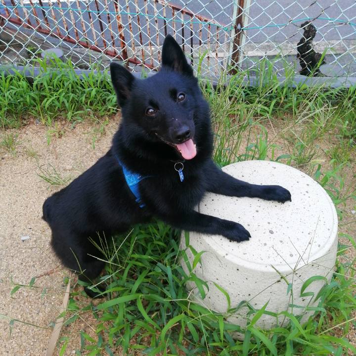 1218e755 3697 47e6 b499 4eae3c7765d7 1629407360491