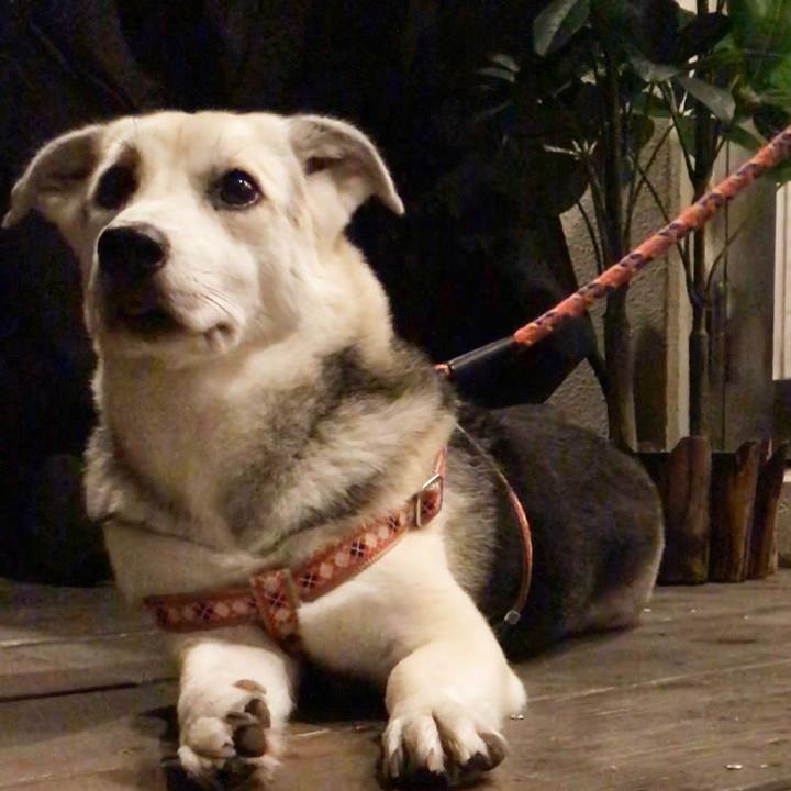 1218f587 cf46 4c0b b166 1dd703f87a83 1518789151438