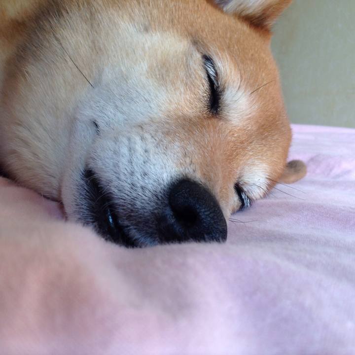 1219109a 7627 47d4 a462 38d3657cead1 1523538672575