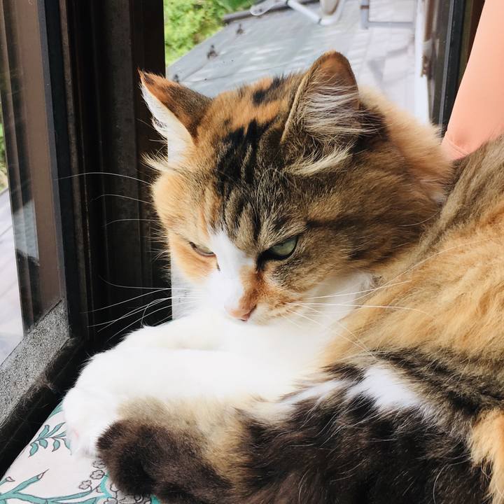 121932f4 504b 407e 92af d5e18d898f41 1562820193724