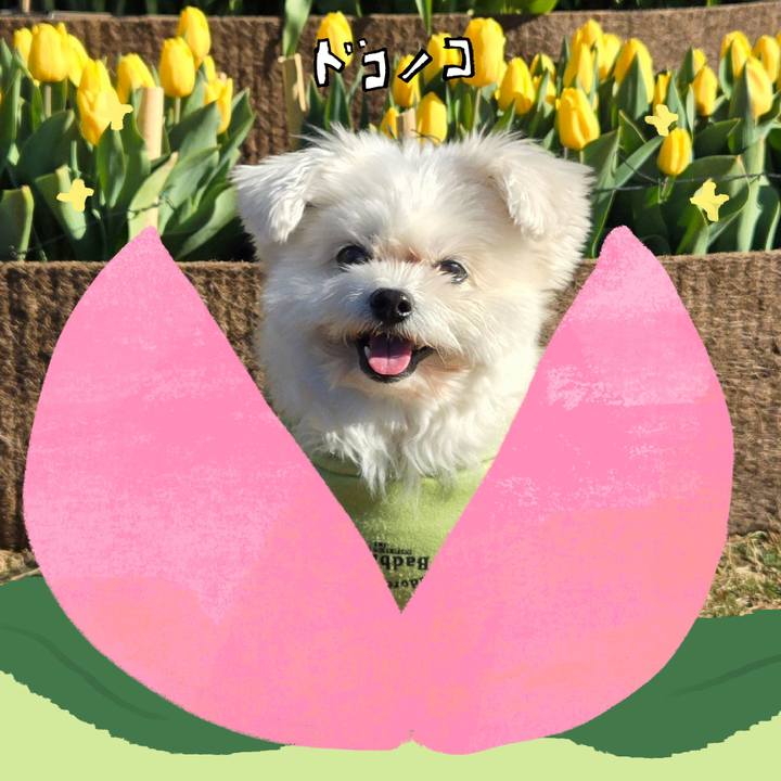 12194cde c601 4b42 acd1 e787c163c678 1772074764738