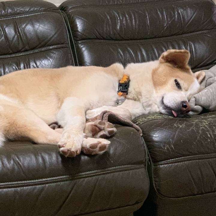 121968cd dc5f 448a bedb 19ff9990987f 1602948648901