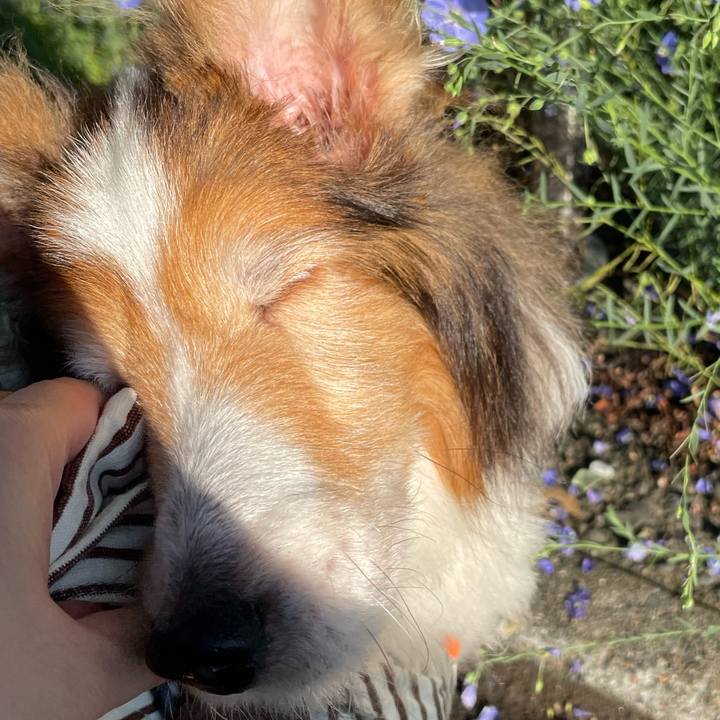 121971bd ebfb 4f95 84aa 7b1be530ed50 1657010265144