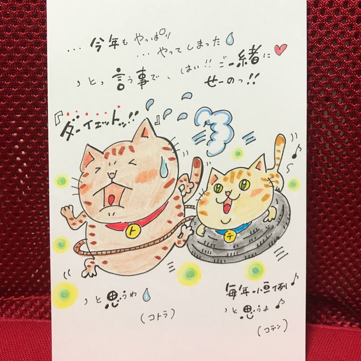 1219774a 32f9 4da7 8a87 5e0646900c12 1547069721860