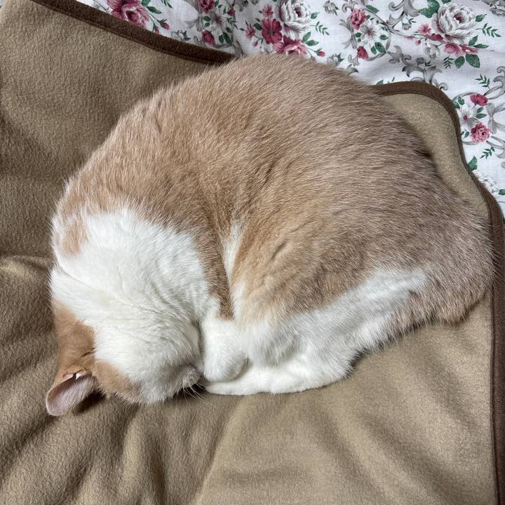 121995aa aeec 491e 8ccc dbf42cba3f39 1760832158850