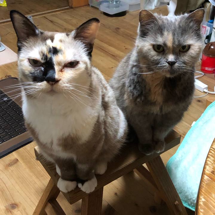 12199d78 52b3 4b27 92cf e6387fd1a37f 1751717759457