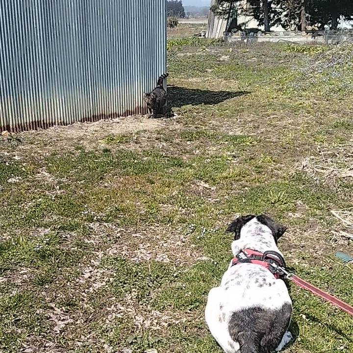 1219a61b d8d7 47e1 abdf 39868b990604 1711876401654