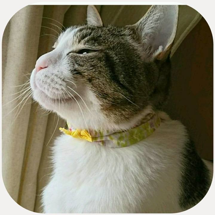 1219aa65 0404 4894 b558 268f1af30958 1511700955723