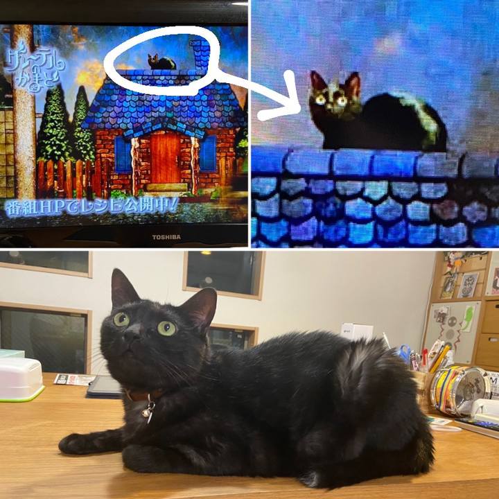 1219b7b1 c167 49f3 bef0 d4252abbad1d 1629285879113