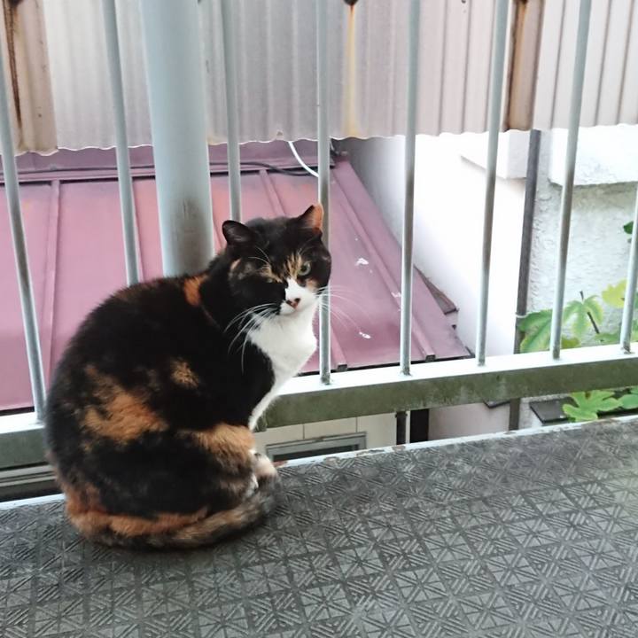 1219bf14 4997 46e9 b063 dba3453e0234 1607394844131