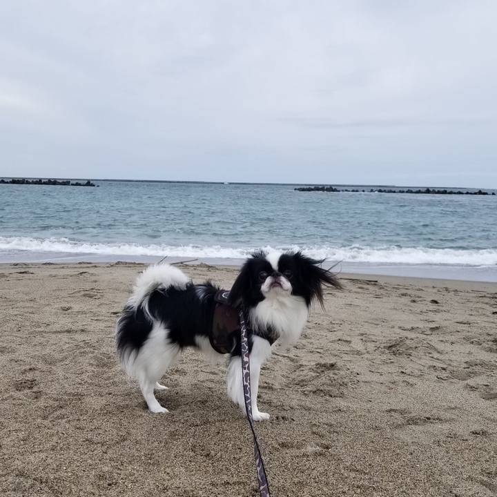 1219d2c9 15d7 4325 bf0f e9d05e53ecba 1665579028795