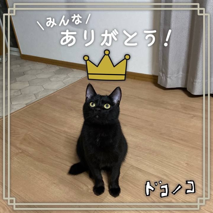 1219d503 57db 447d 82a4 c850e53c6e3d 1622898006127