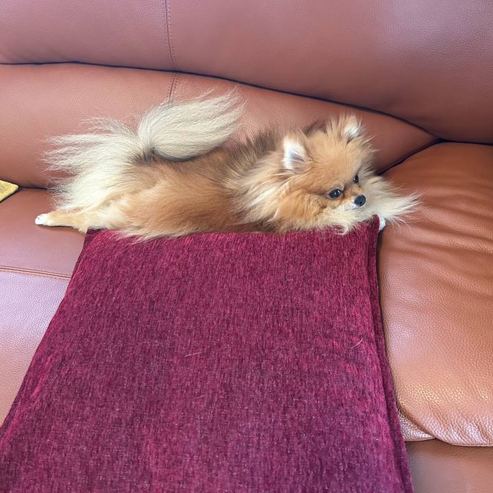 1219f554 77fc 44c3 ab44 e467d948b9b3 1759289547571