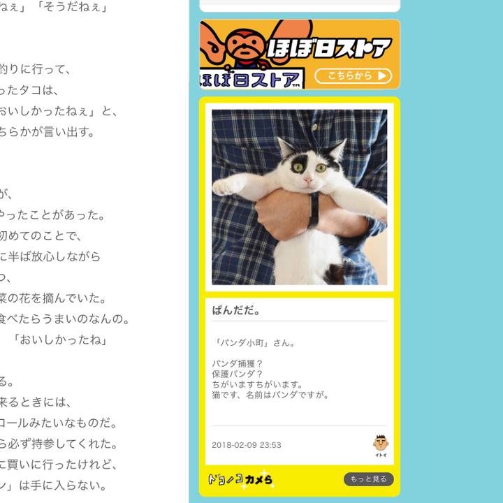 121a2007 104a 4b6d 96ae 9183cce3a11c 1518192338449