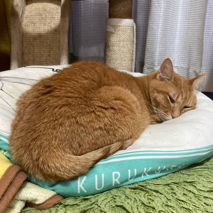 121ac5b5 d238 4455 b0b4 79828b2bf2ec 1764288826792