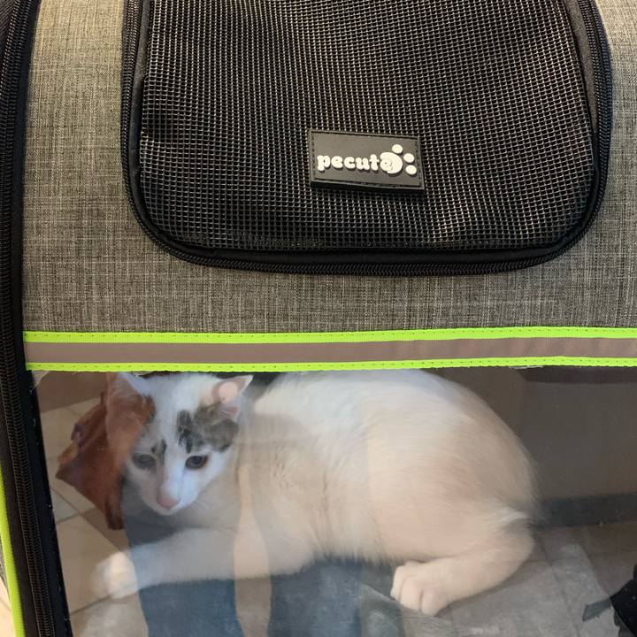 121ad6bb f6cf 49ef bf89 ed05a0adbe78 1612089400750