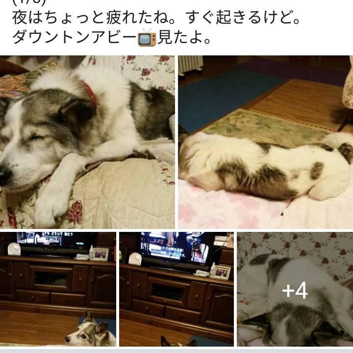 121af187 86b1 4b55 b4a5 14f7642ed49d 1516251505616