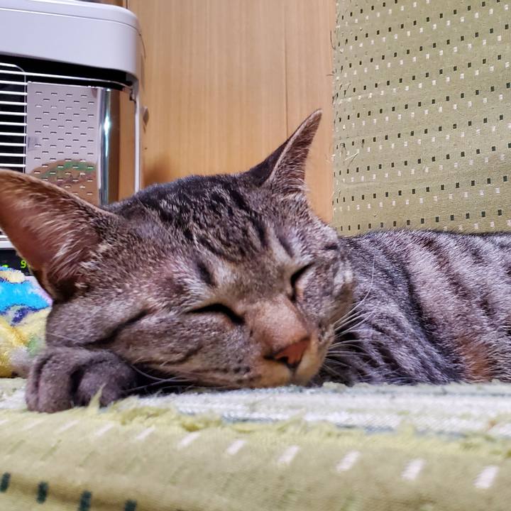 121b0964 a47a 43de b36e f59e1184a643 1713234070530