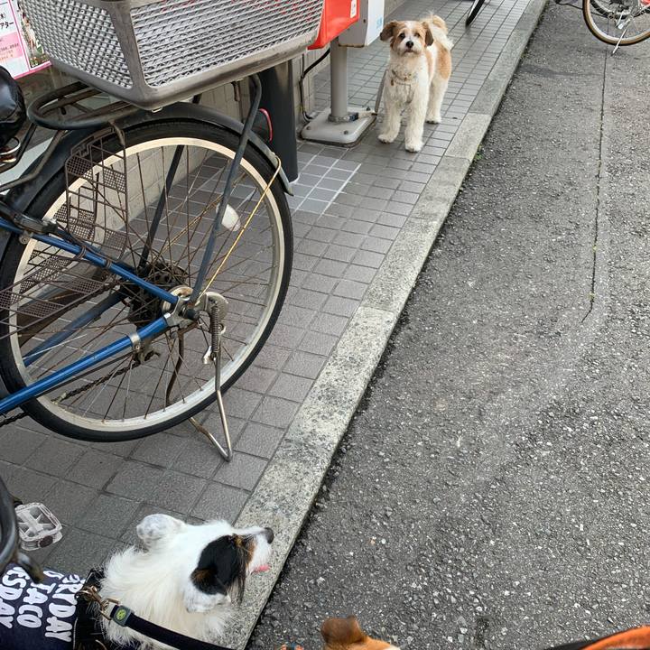 121b13df 289e 4b99 907d b58d51527a28 1619835602616