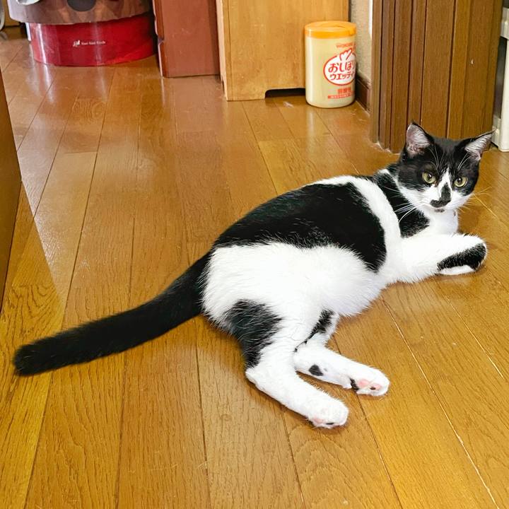 121b2e8d 9647 4035 bbab fcfd212076ee 1756162212990