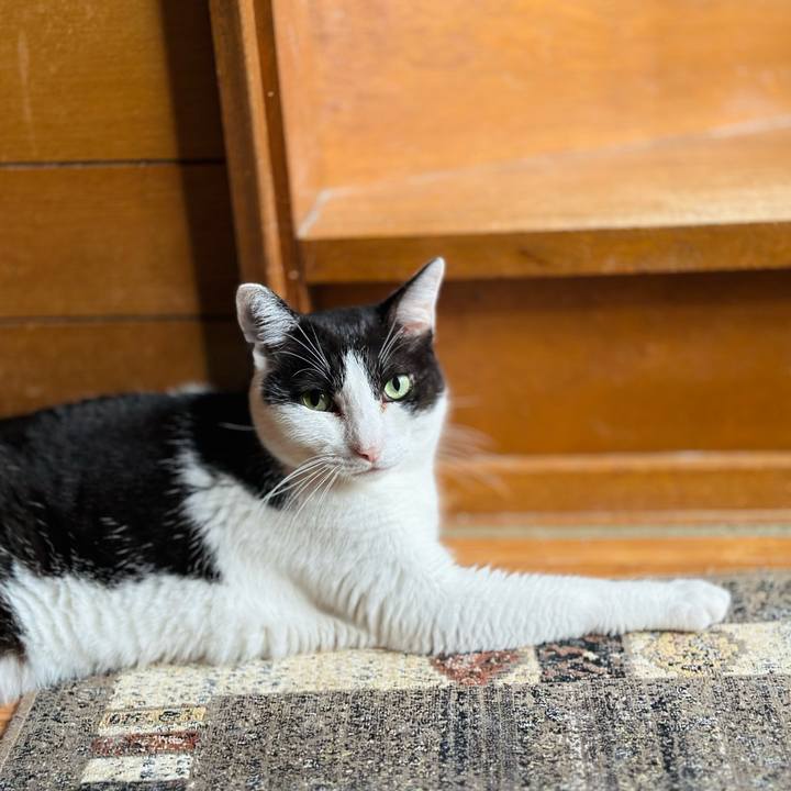 121b3371 9842 4f41 b0a3 07a650d4a75b 1695174752006