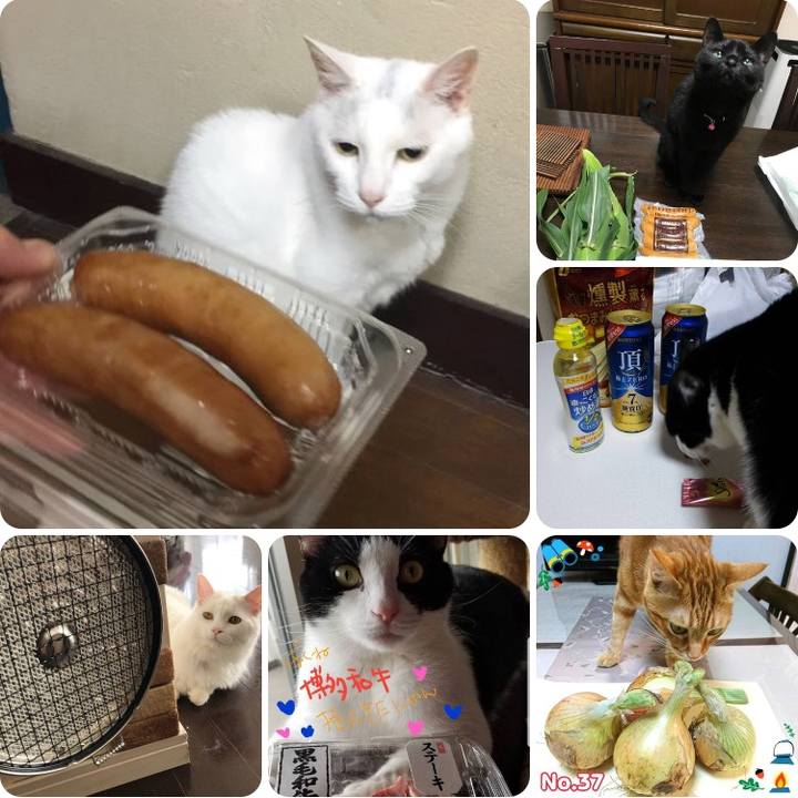 121b60b8 56a2 4c15 ad5e 60734e93a1ef 1528023769836