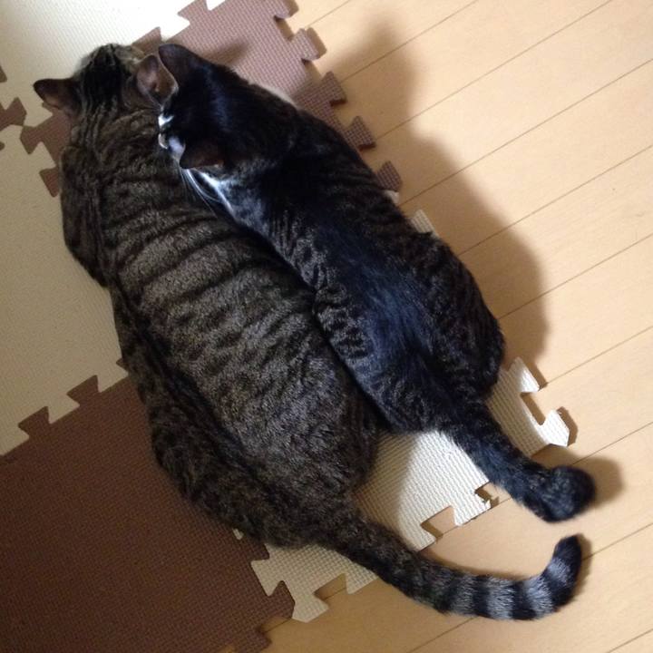 121b6363 ef74 44f3 af06 638e3d9f1a4c 1512443647744