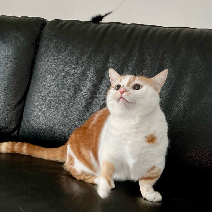 121b91dc 7f31 477f 9fd9 47e2abdc7982 1766633027168