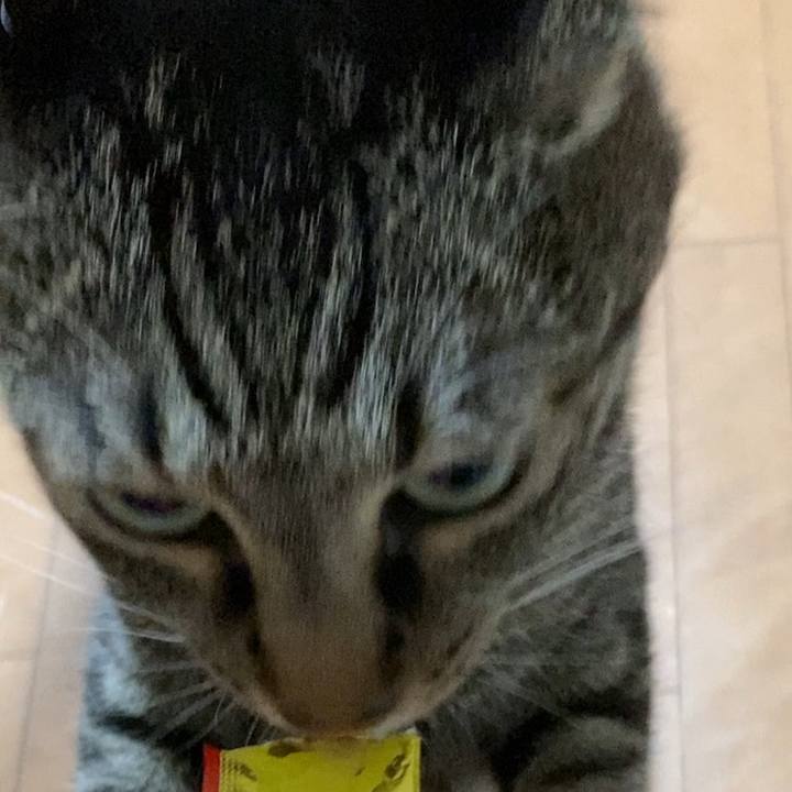 121bb1b9 4acb 4019 9f98 193ab3f1a842 1625533831622