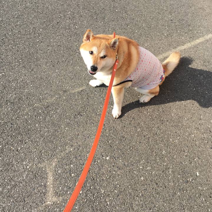 121c1ab1 4a00 498e 8af2 27b8cb6830bd 1558910717890