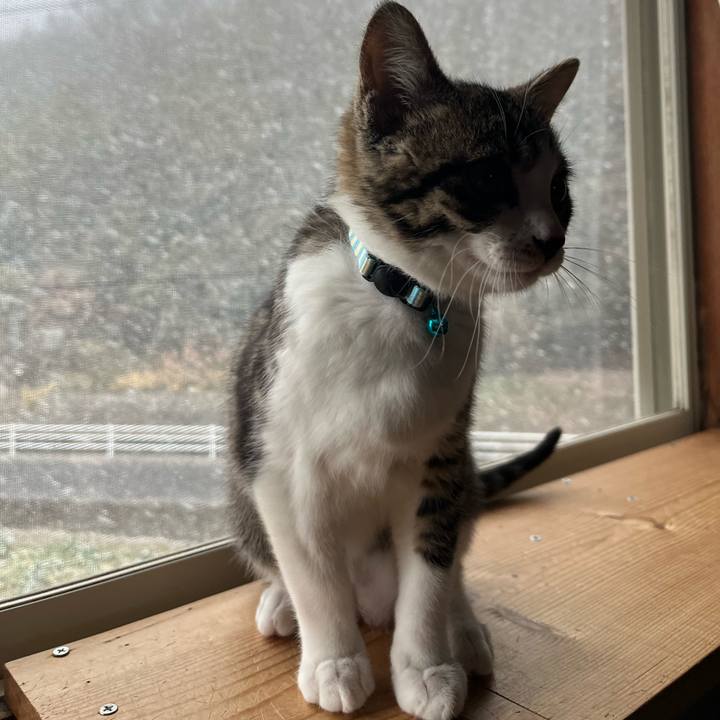 121c355c 2992 4431 aebb 4facd7bace78 1770531467197