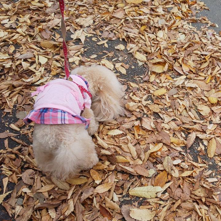 121c670f 6446 4e6f 8525 43633cbd2b3b 1572952697880