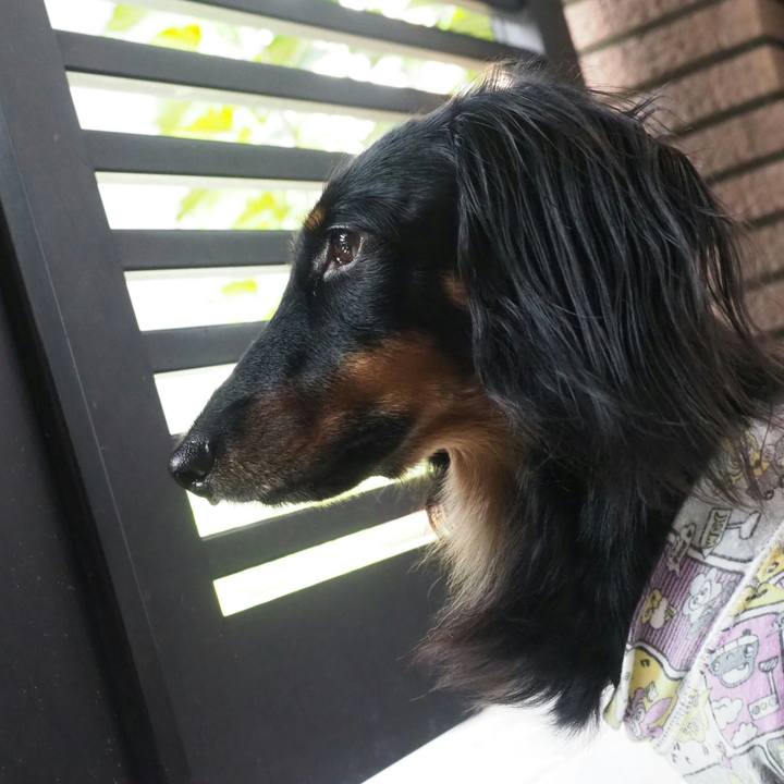 121c75d4 a2e0 47d9 a5b3 d95751efc111 1538010065755