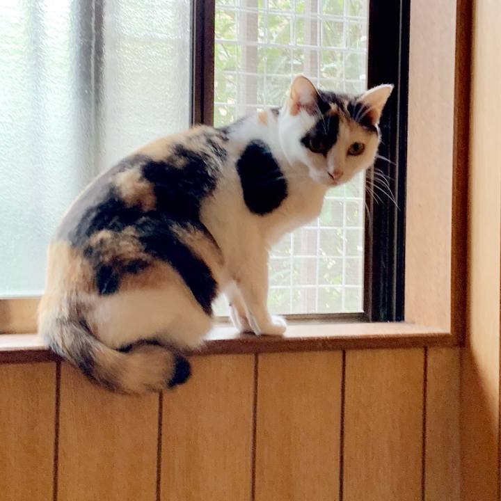 121c76ea 41af 4306 bc82 7f4fa841aea8 1538616939420