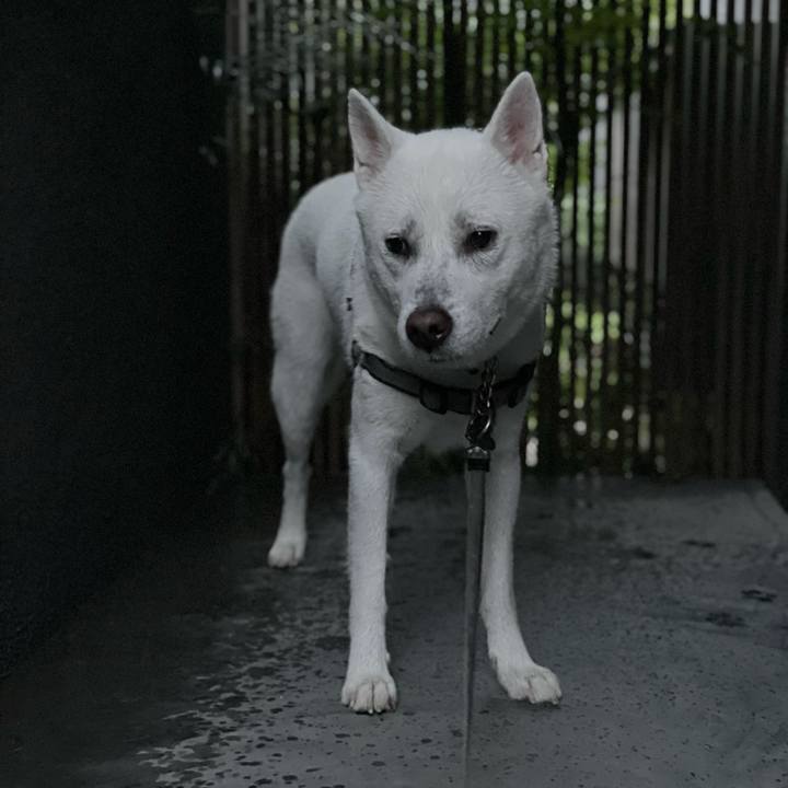 121c8a3d 646b 40ce 9b08 4fd4529a05ff 1627767603702