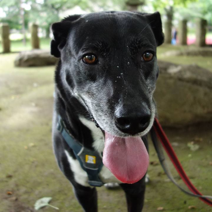 121c933a 936e 4279 a1e9 ffa21baf75d1 1716511998117