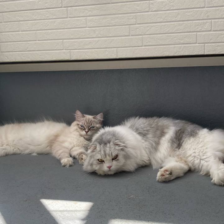 121c9621 a1cf 4985 8892 e83b14cd006d 1682141973618