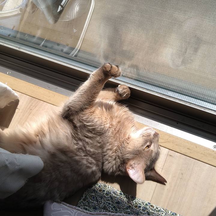 121c9ba6 2010 457c b087 c95d0a9a39e8 1618202912221