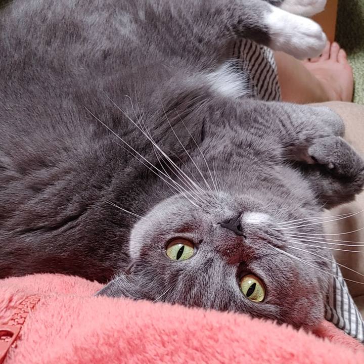 121c9e61 629a 4bf7 b11e 120fe2a98ded 1668931968056