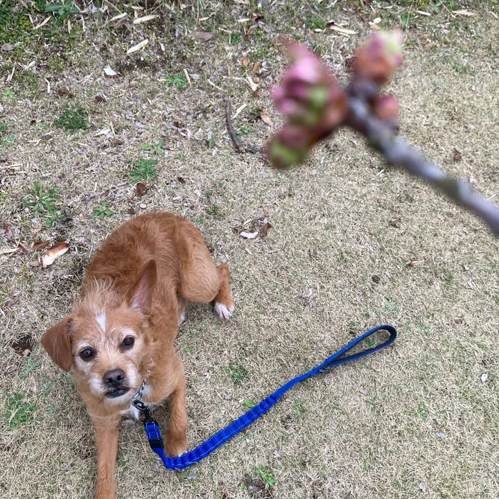 121ce6bd 5071 4125 acaf bb08d9d3b22b 1648026096301