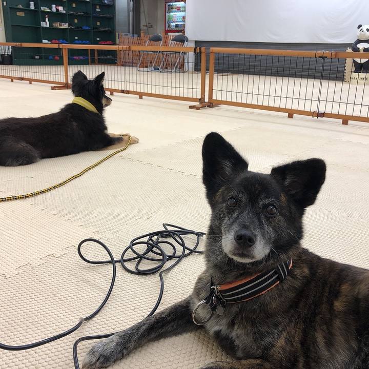 121ceff0 91ea 424e b58a 48d9217c62a7 1631080286736